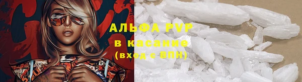 гашик Абаза