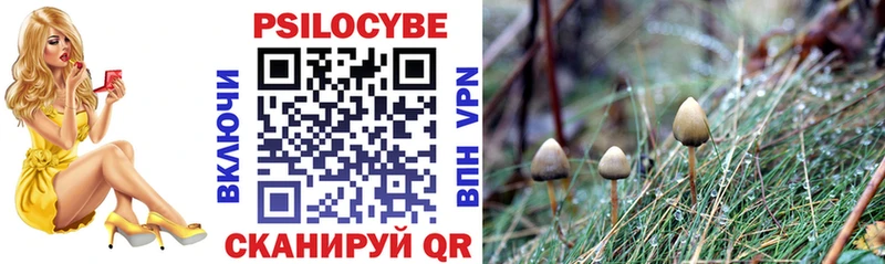 Галлюциногенные грибы MAGIC MUSHROOMS Кохма